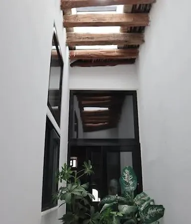 Heliophilia Malona *