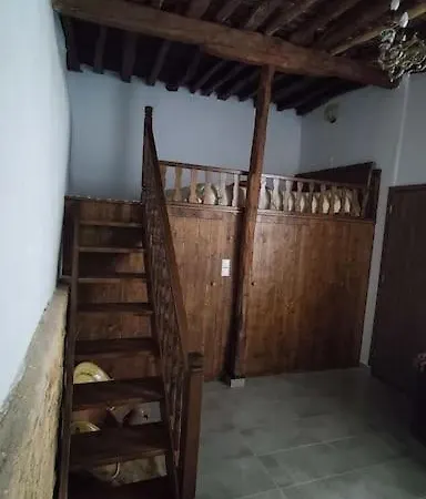 Heliophilia Malona *