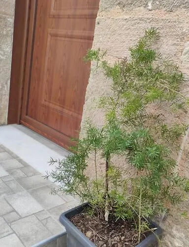 Heliophilia Malona Σπίτι διακοπών *