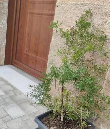 Heliophilia Malona בית נופש *