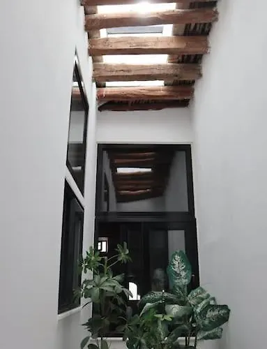 Heliophilia Malona *